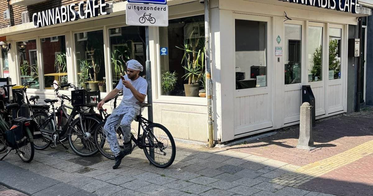 The cannabis cafe