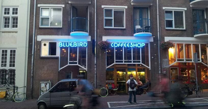 Bluebird