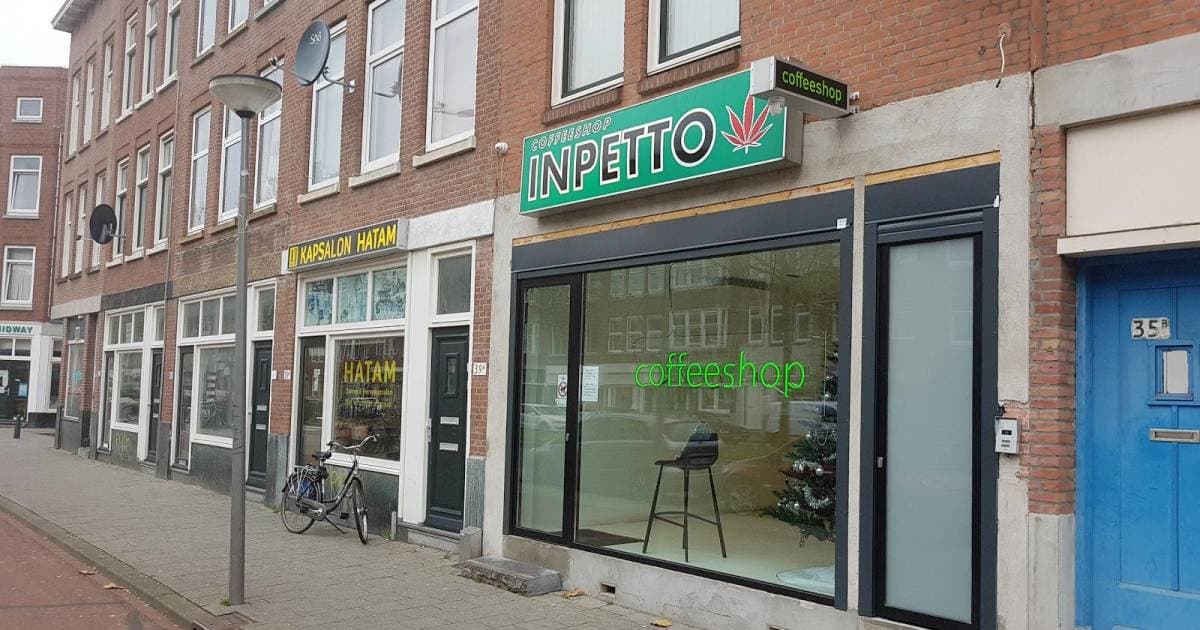 Inpetto