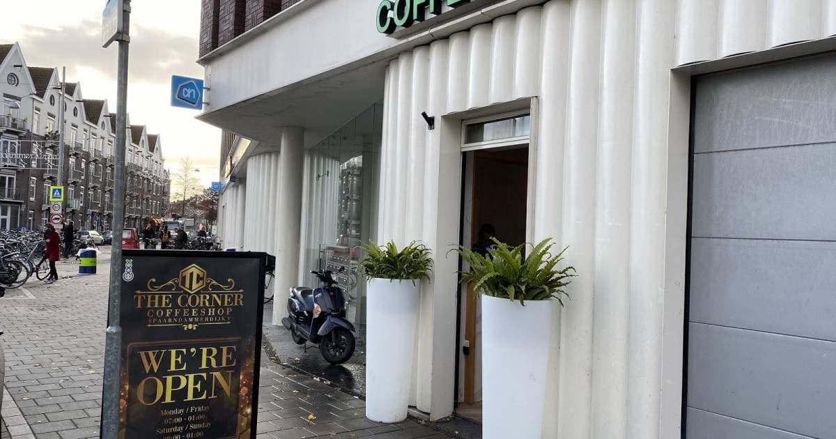 The Wow Shop (C. Cohen)