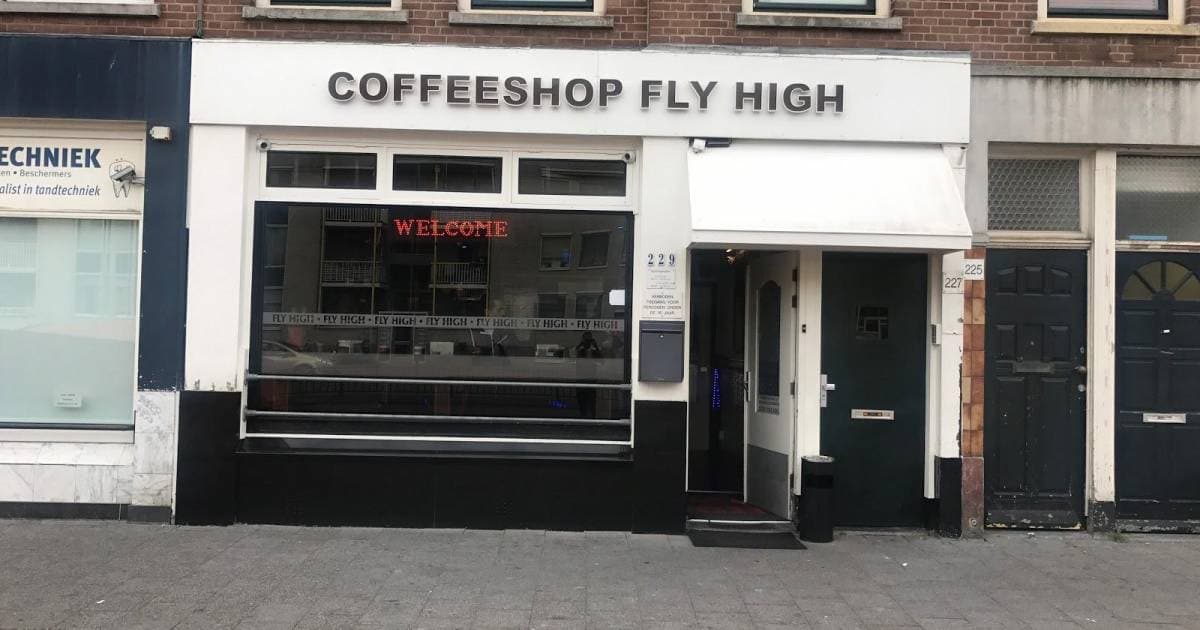 Fly High