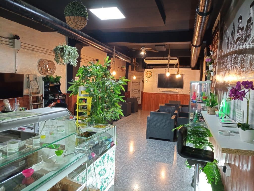 Asociación Green Island Nervión