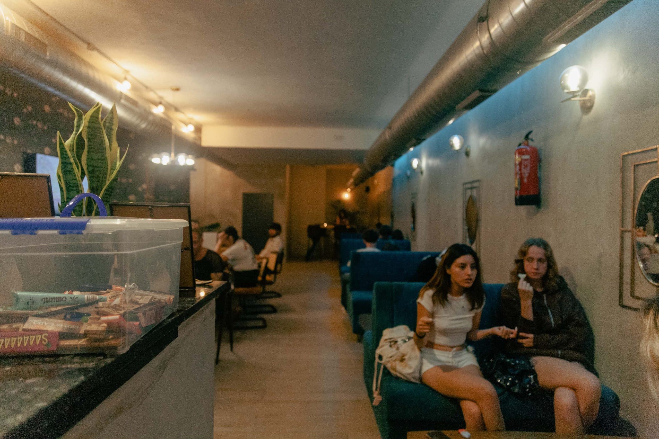 Ibiza Cannabis Club
