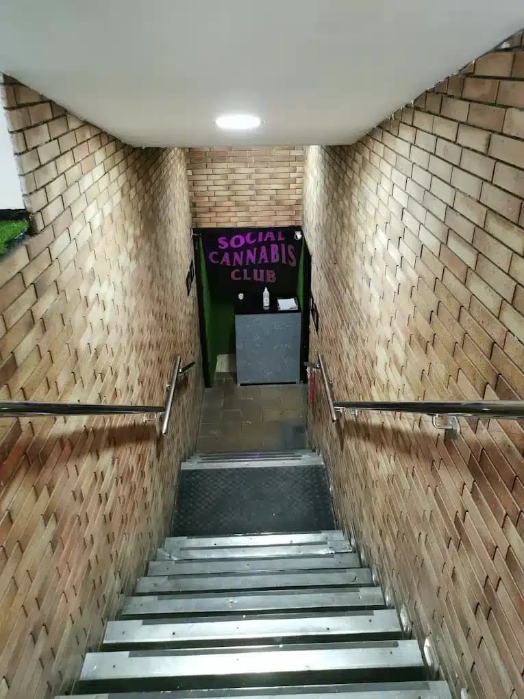 Antisocial cannabis club 2
