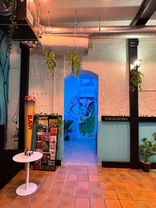 Freedom Social Club