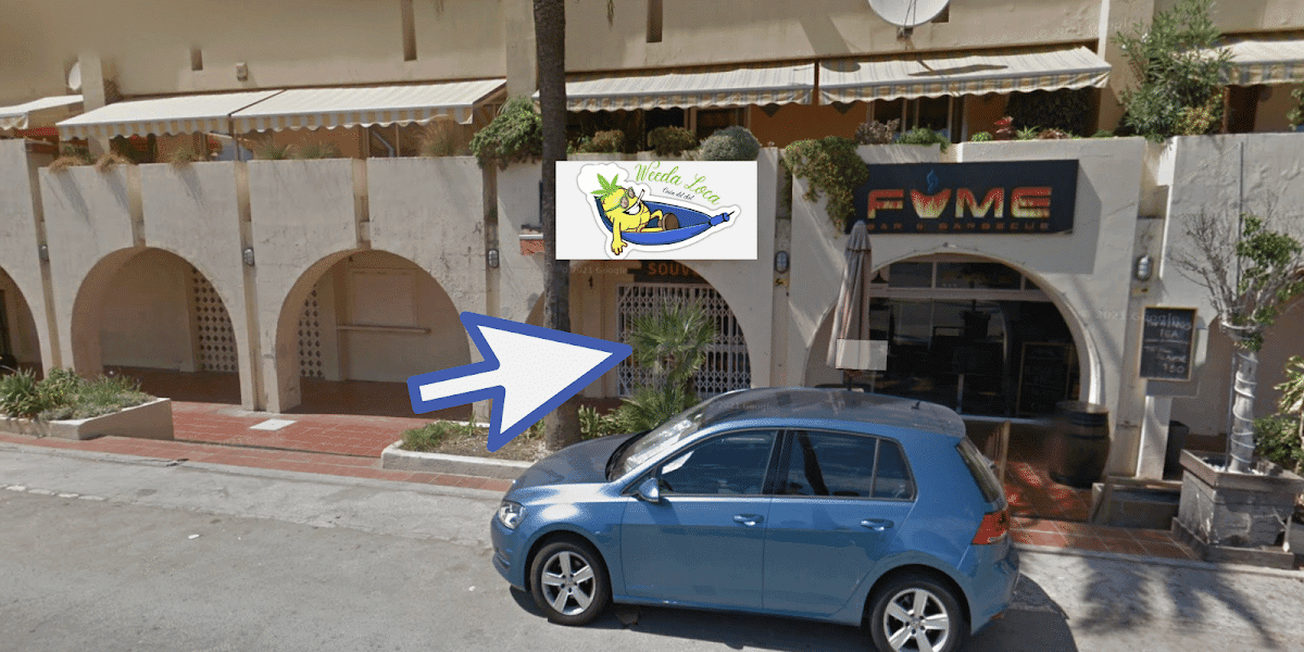Weeda Loca Malaga