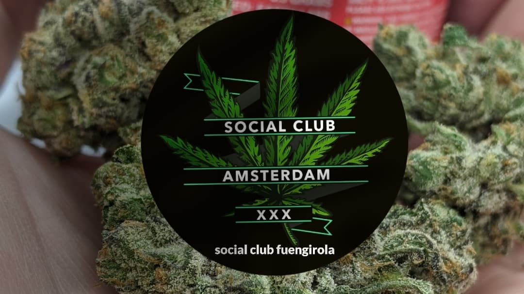 Social Club Amsterdam 2