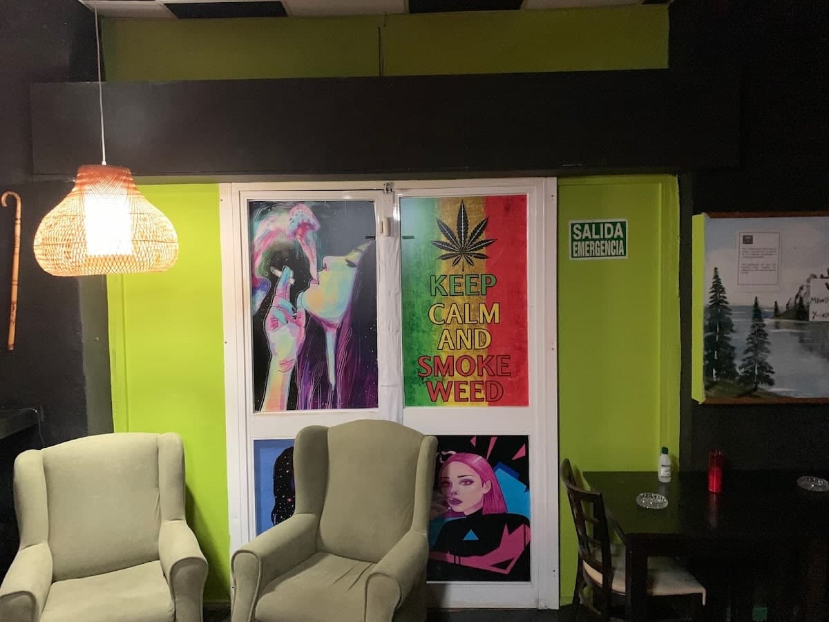 weed zino coffee shop malaga(smoke club)