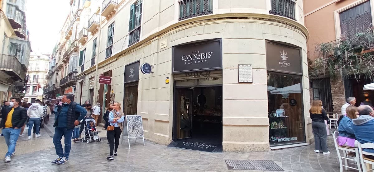 The Cannabis Factory Malaga