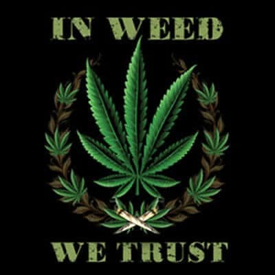 weed zino coffee shop malaga(smoke club) Malaga 4