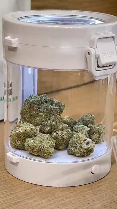 Alternative CBD Salamanca