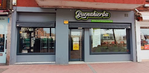 Buenahierba CBD Valladolid
