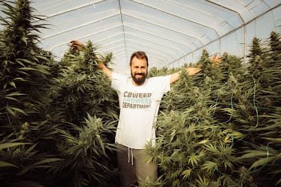 CBWeed - CBD Shop Vigo