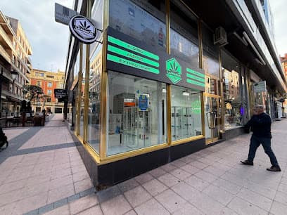 La Familia Cbd Oviedo