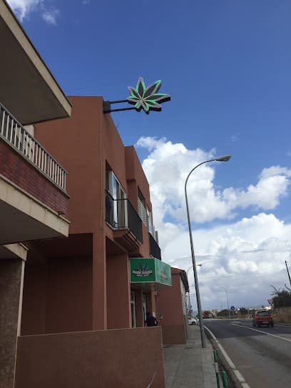 Mundo Cannabis Grow Shop