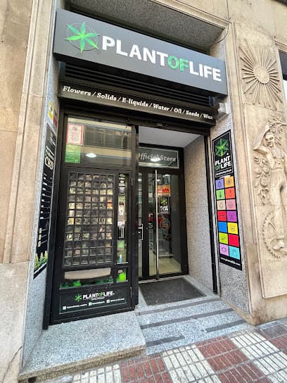 Plant Of Life Castellon CBD