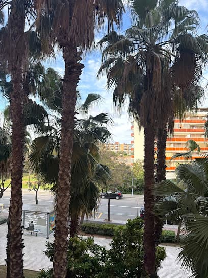 Weed Salou Happy Days Social Club