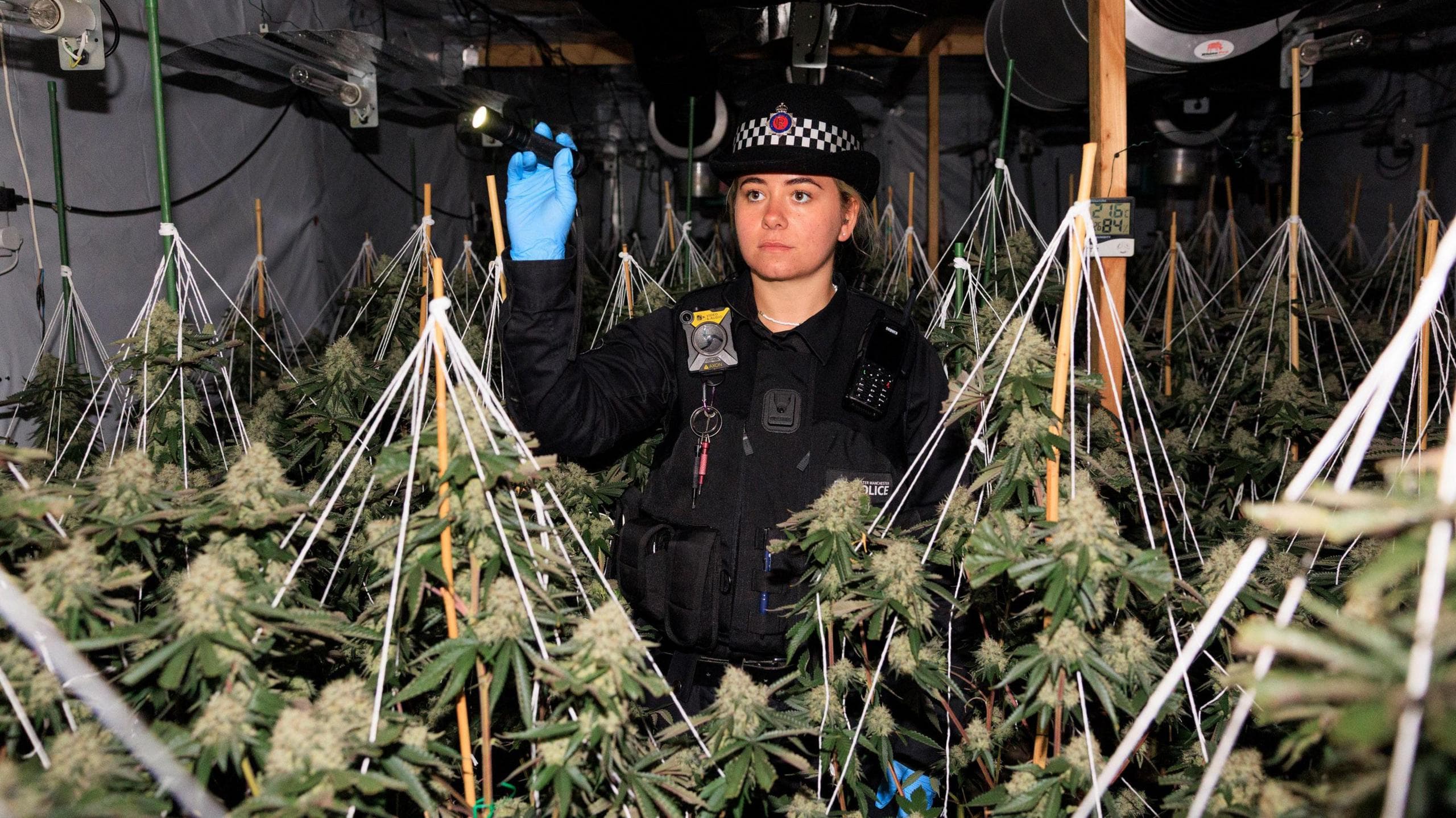 Caught with Cannabis in Spain: Fines, Penalties and Your Rights (2026)