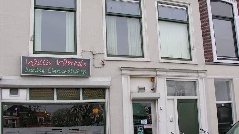 Cannabis Shop Willie Wortel Indica 3