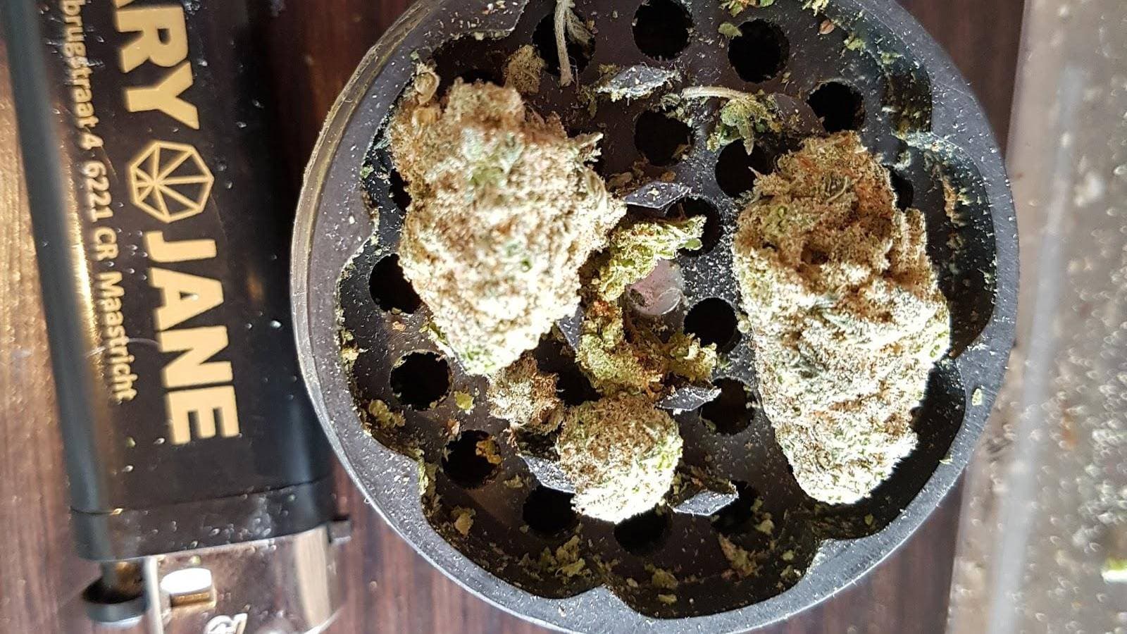 Coffeeshop Mary Jane 4